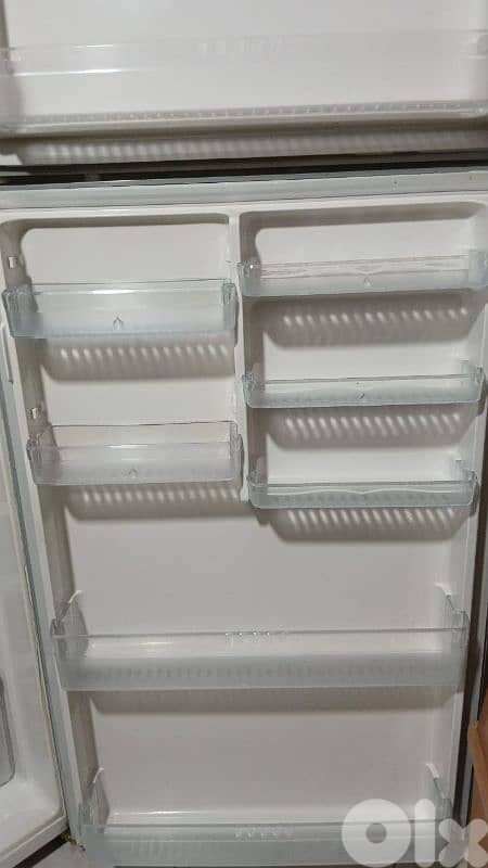 fridge and freezer 3