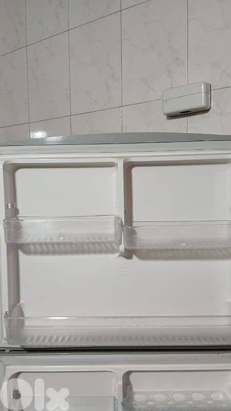 fridge and freezer 4