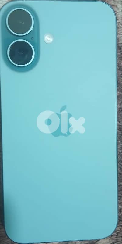 بيرت رأس النبع 1