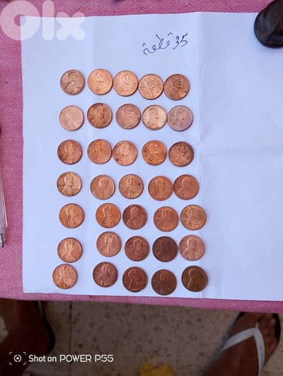 جل الديب المتن