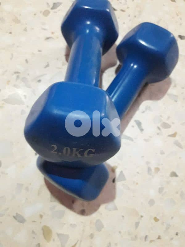 Dumbbells / Dumbels 2kg / دامبلز 1