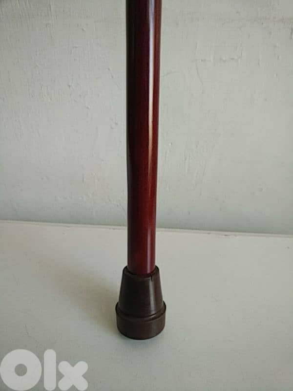 Wooden walking stick - Not Negotiable 2