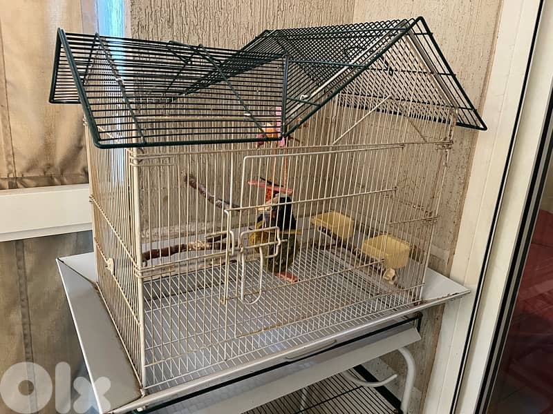 bird cage 0