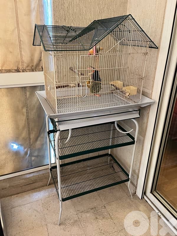 bird cage 1