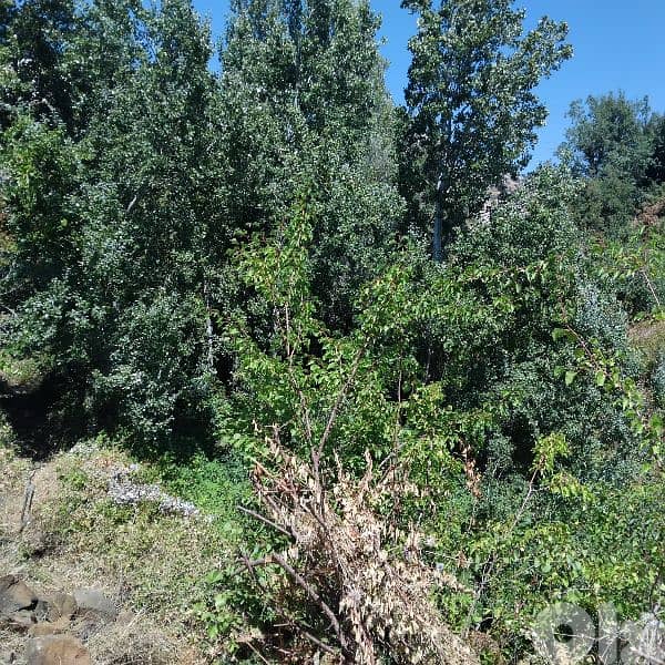 land for sale in qartaba with breathtaking view 2