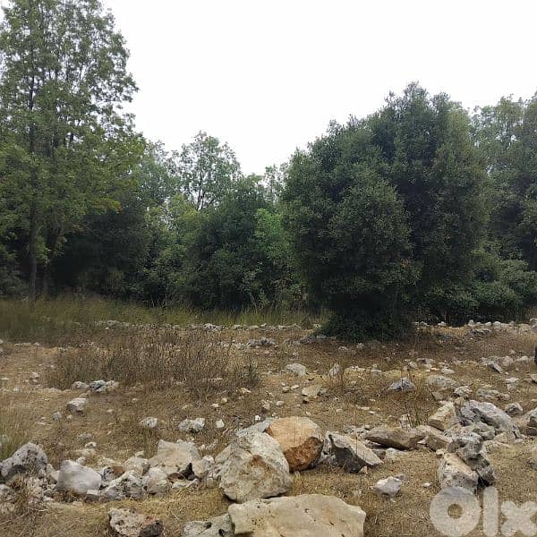 Land for sale in Aachkout 2