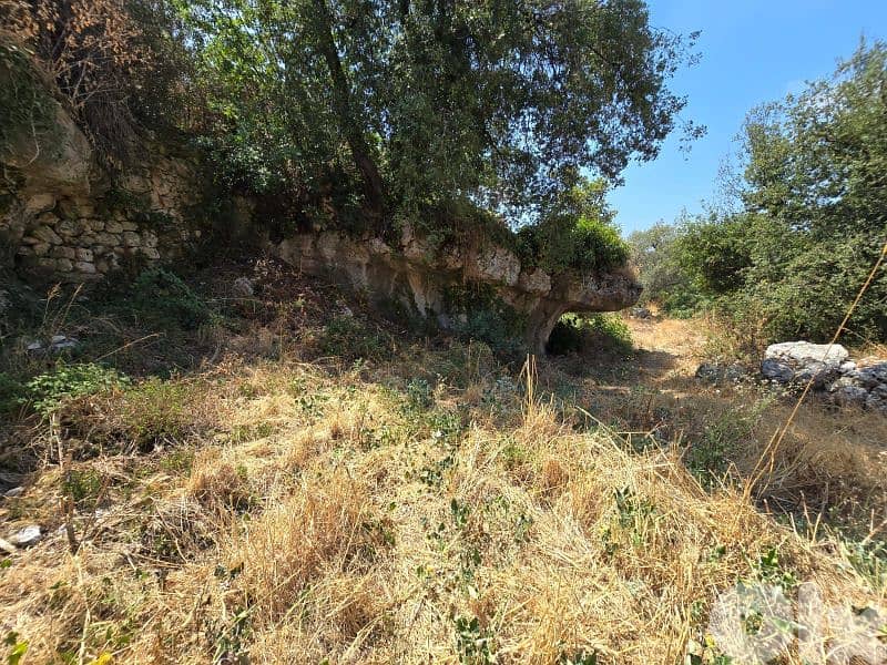 Land for sale in Aachkout 5