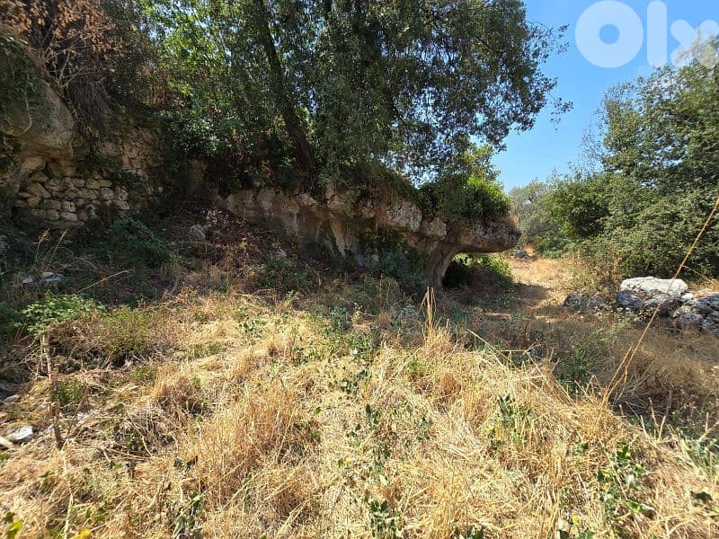 Land for sale in Hadtoun / batroun 2