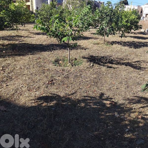 land for sale in Safra with sea view 0