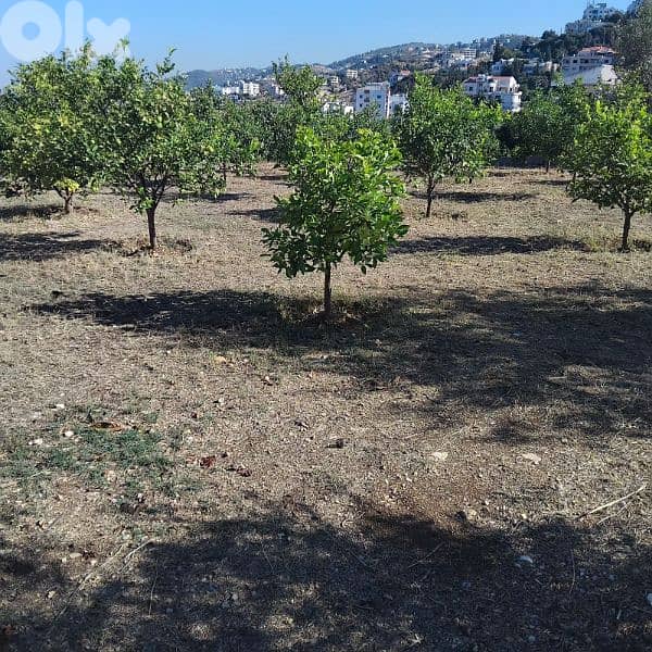 land for sale in Safra with sea view 1