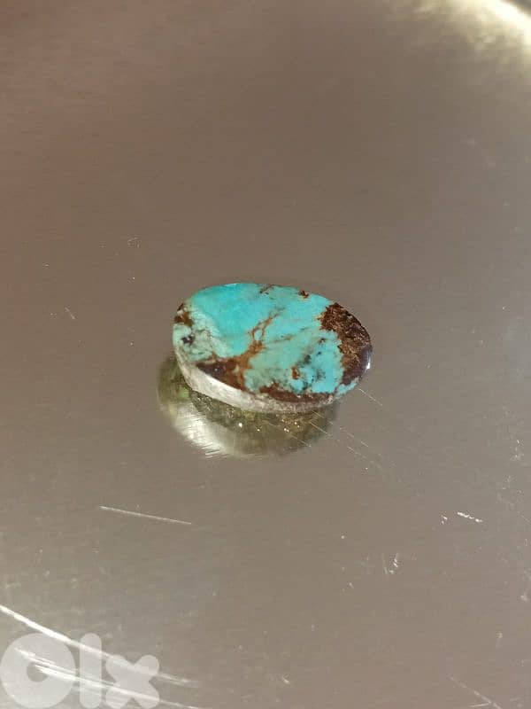 فيروز نيسلبوري ايراتي طبيعي 1