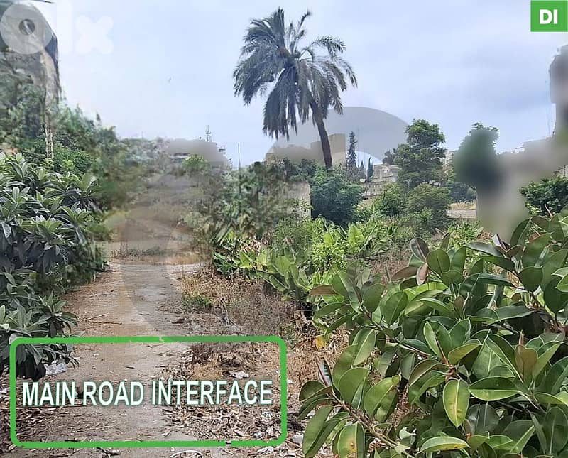 3100 SQM Land for Sale in SAIDA / صيدا   REF#DI127630 0