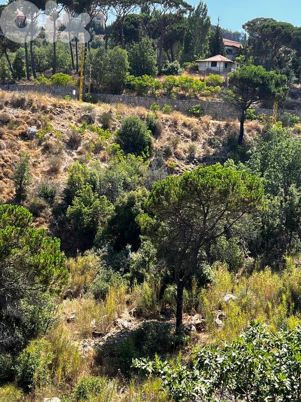 عقارات للبيع في الشبانية - جبل لبنان 5