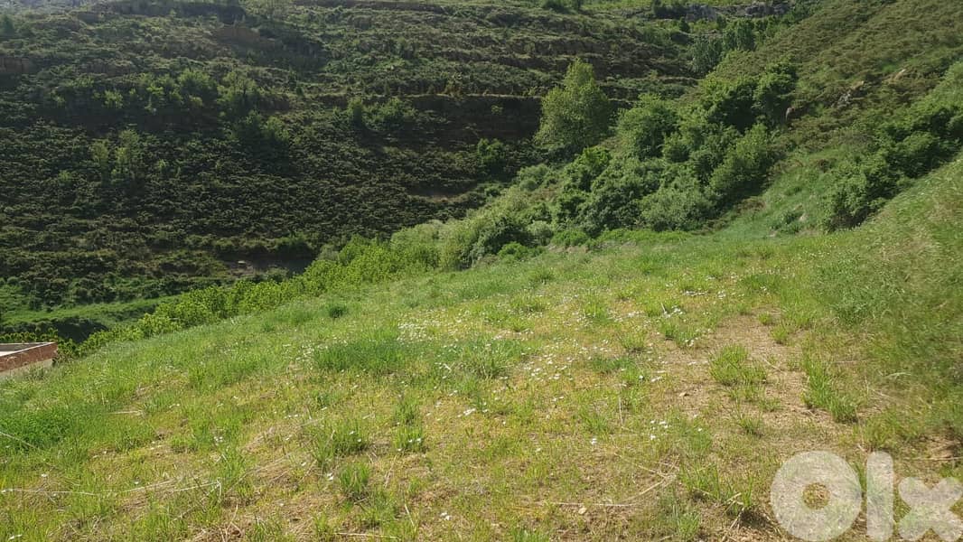 1651 SQM Land For Sale In Tannourine أرض للبيع #CT2213206 2