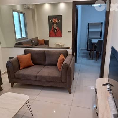 furnished new appartment