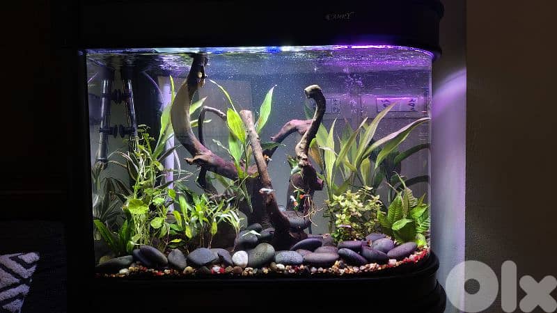 Aquarium 30 Gal 0