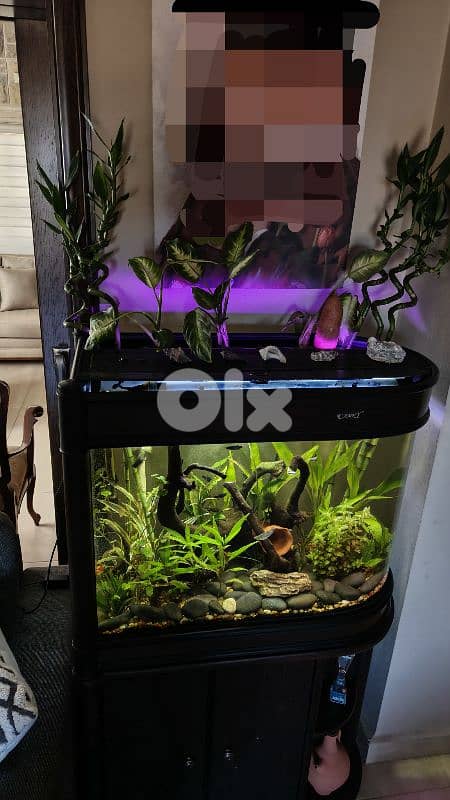 Aquarium 30 Gal 1