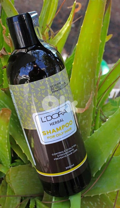 ldora hair shsmpoo -شامبويات لادورا 8