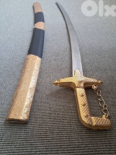 سجل انا عربي