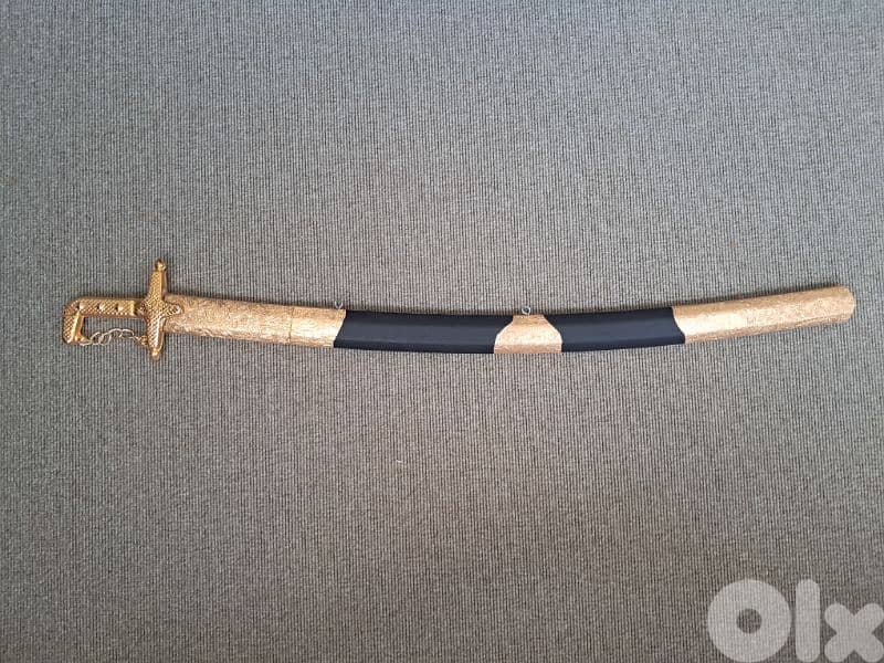 سجل انا عربي 1