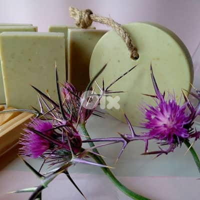 organic soap