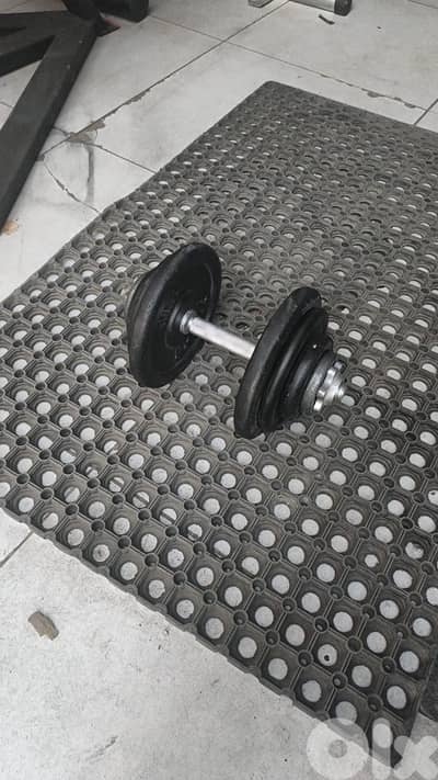 dumbells