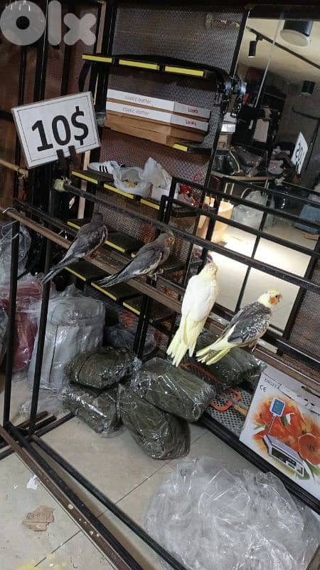 برج البراجنه عين سكه حد قرض الحسن وفي توصيل ضمن بيروت 1