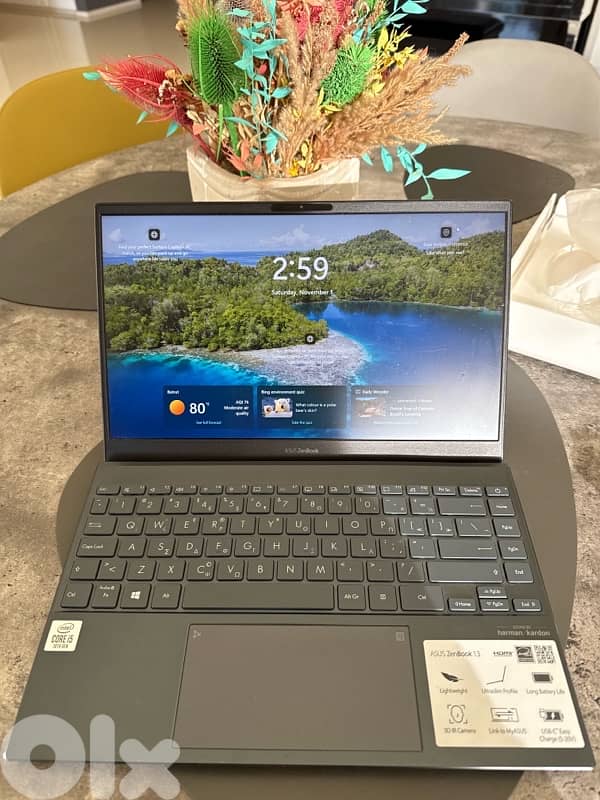 Asus Zenbook 13 0