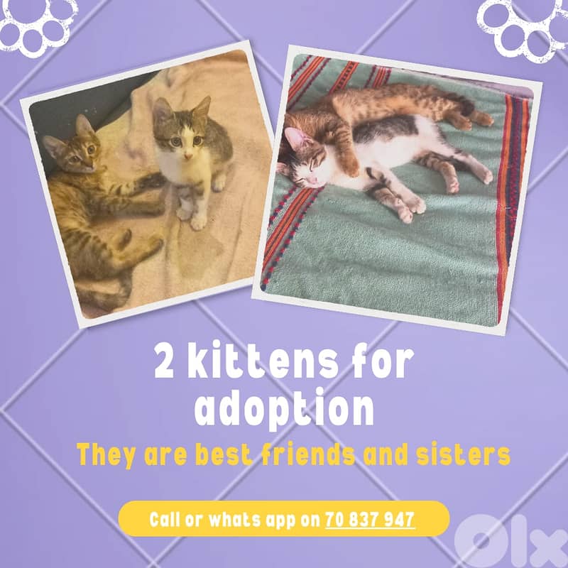 FREE Baby Sophie & Saloumi (4 months) 3