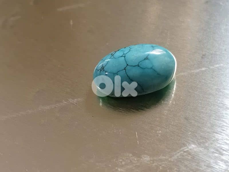 فيروز سيناوي مصري 1