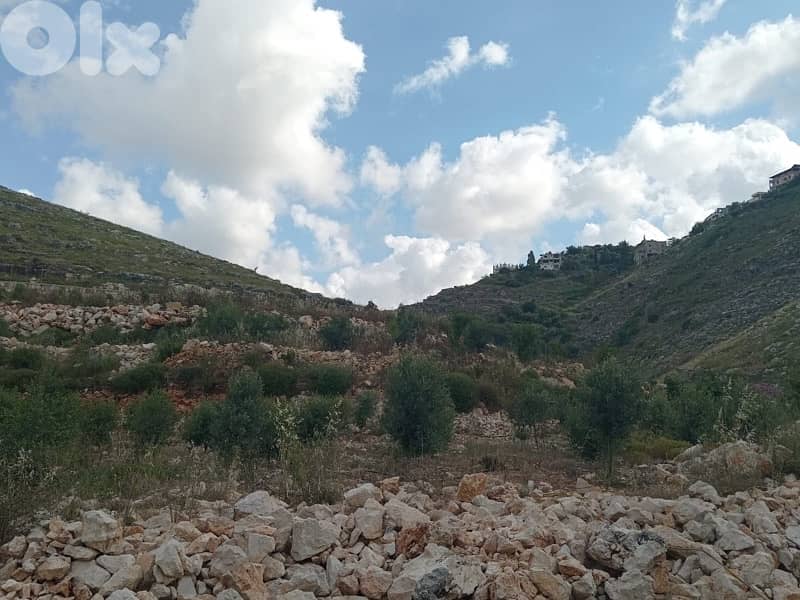 Land for sale in Marwanieh | أرض مزروعة للبيع في المروانية 3