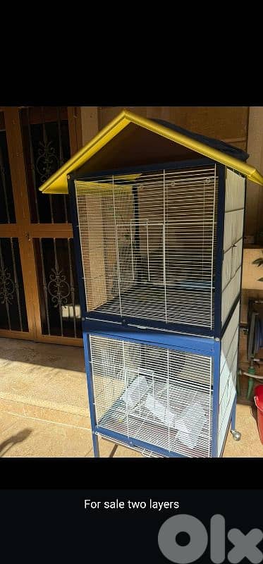 قفص للعصافير