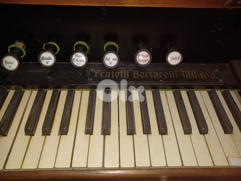 HARMONIUM VINTAGE 6