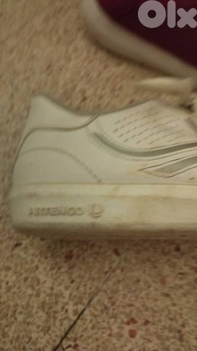 صيدا مية ومية