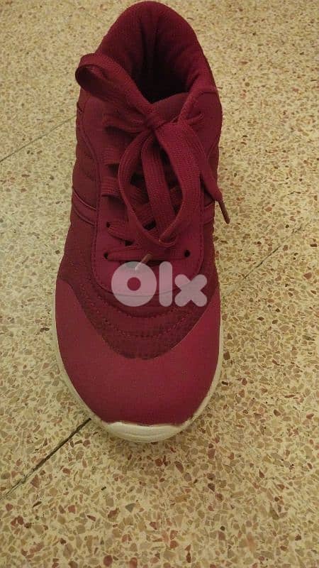 صيدا مية ومية 3