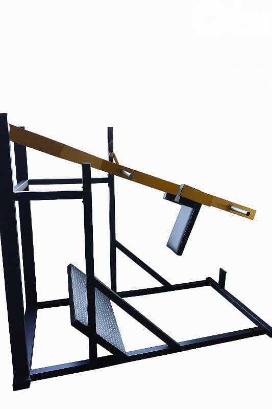 New Pendulum Squats 0