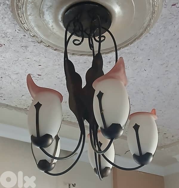 ثريا عدد ٢ 0