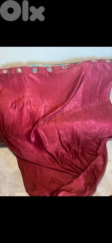 برادي عدد ٦ 1