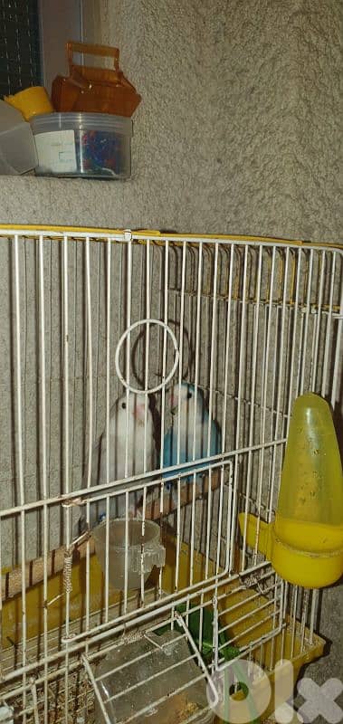 بيروت او الجنوب 1