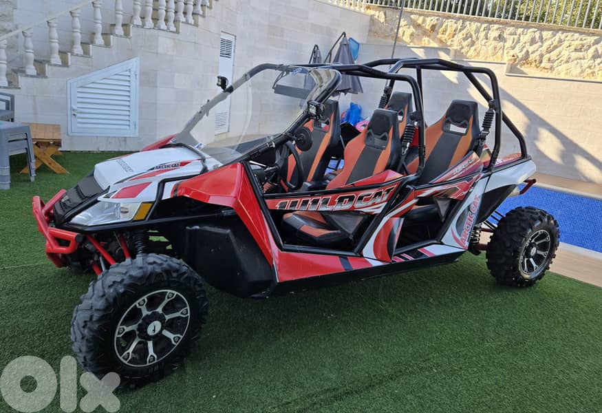 Arctic Cat 4 seats 1000cc 0
