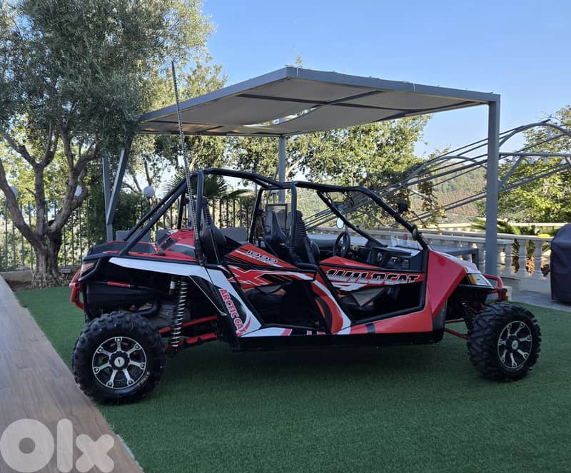 Arctic Cat 4 seats 1000cc 3