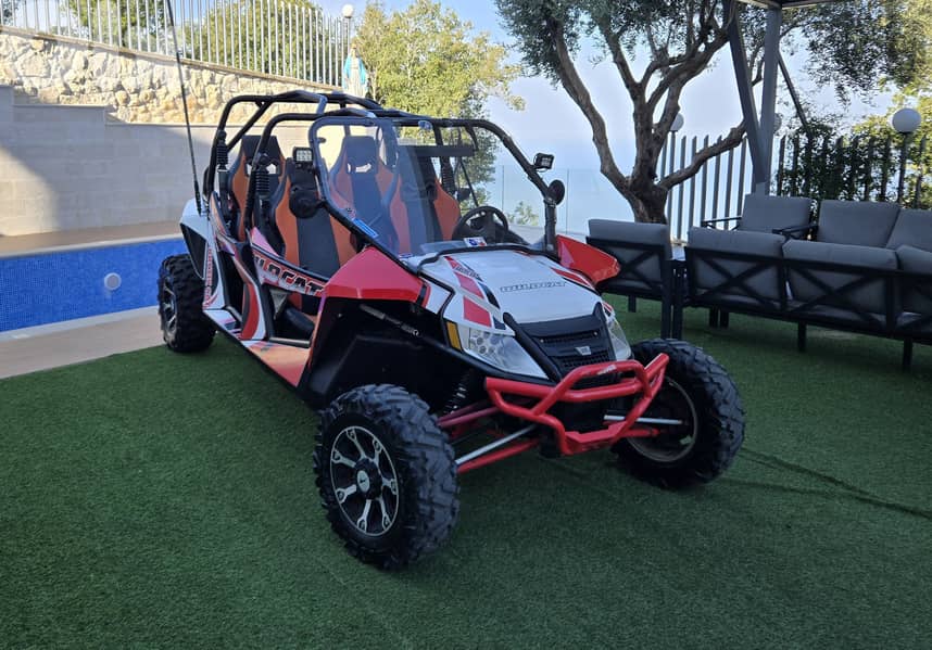 Arctic Cat 4 seats 1000cc 8