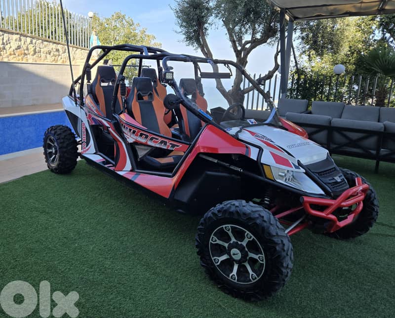 Arctic Cat 4 seats 1000cc 11