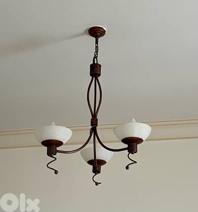 Ceiling Lamps