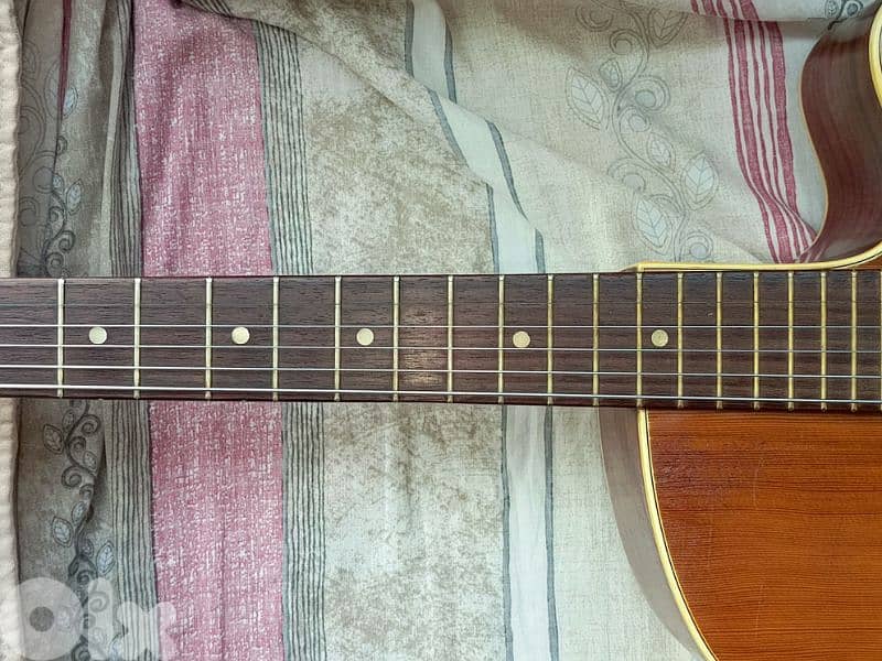 Framus 1962 - Acoustic Guitar 3