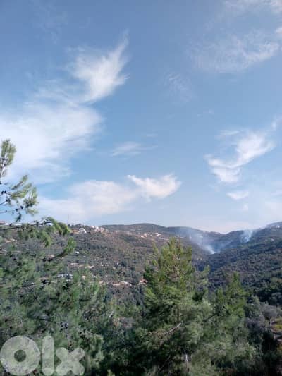 ارض في عين درافيل