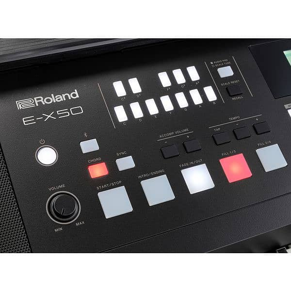 Roland Arabic E-X50 61-key Arranger - Black 1