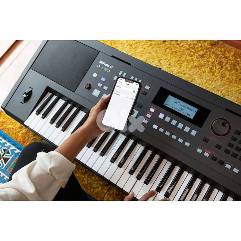 Roland Arabic E-X50 61-key Arranger - Black 5