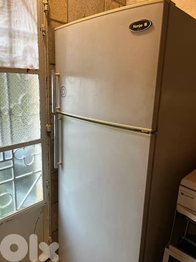 berrad w ghissle w freezer