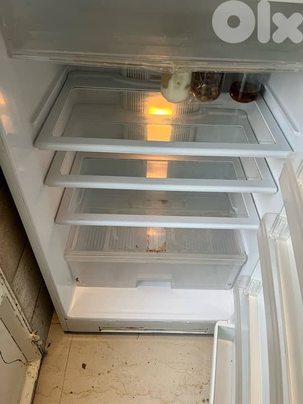 berrad w ghissle w freezer 3